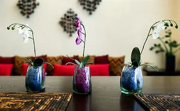 Via 38 Condo Boutique Playa del Carmen Hotel